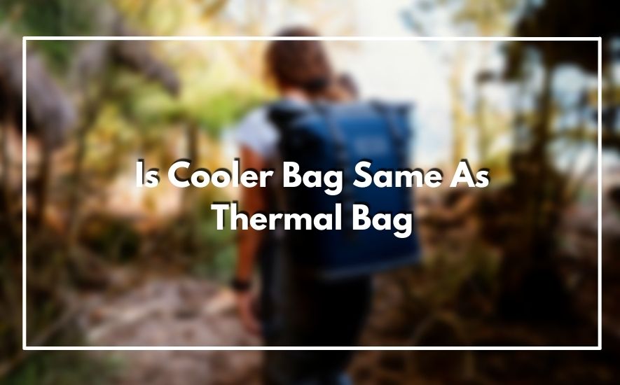 Is Cooler Bag Same As Thermal Bag