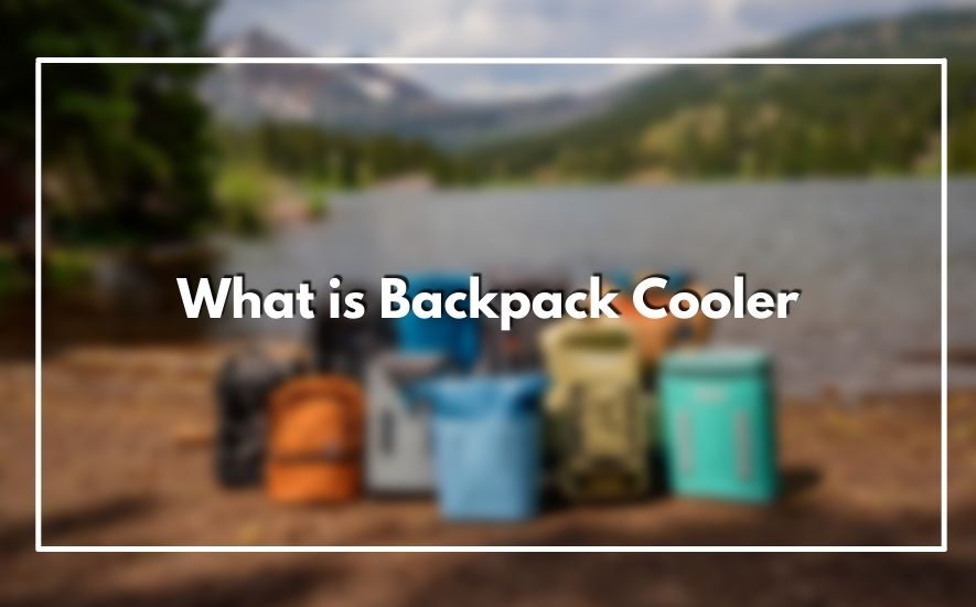 What is Backpack Cooler