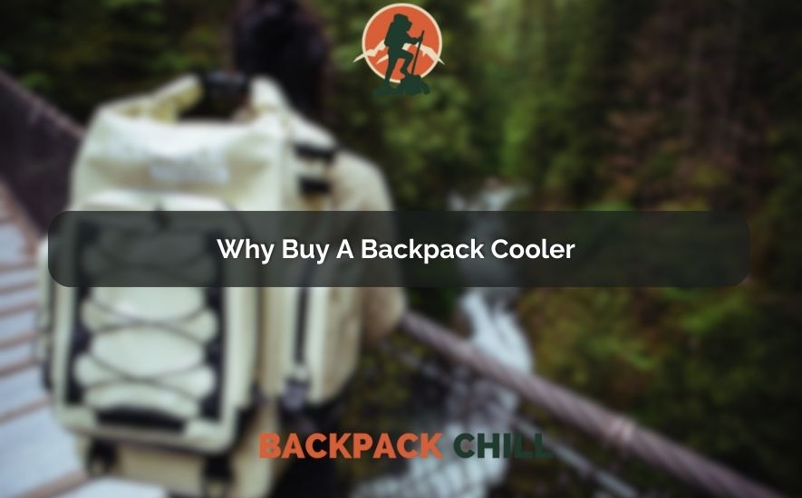 Why Buy A Backpack Cooler 