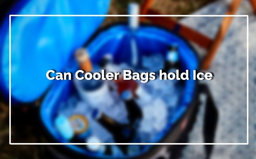 Can Cooler Bags hold Ice