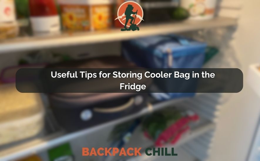 Useful Tips for Storing Cooler Bag in the Fridge