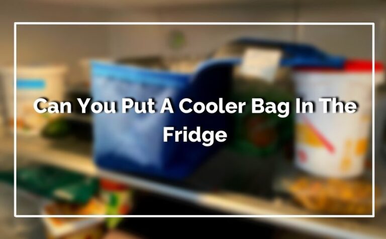 Can You Put A Cooler Bag In The Fridge