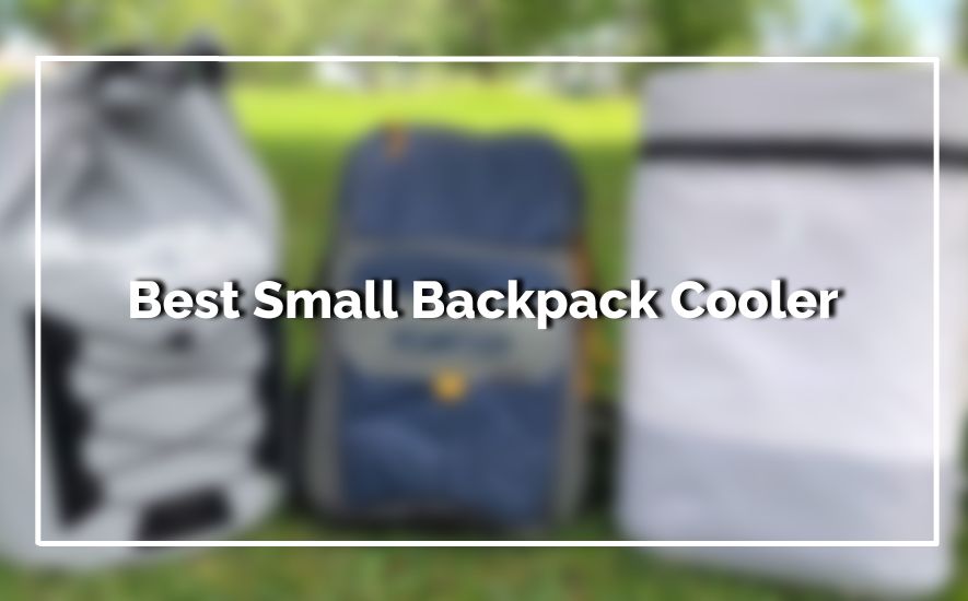 Best Small Backpack Cooler