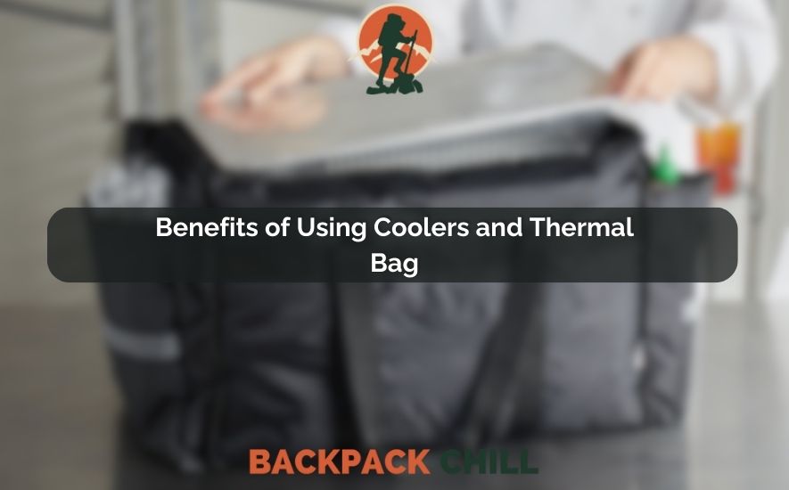 Benefits of Using Coolers and Thermal Bag