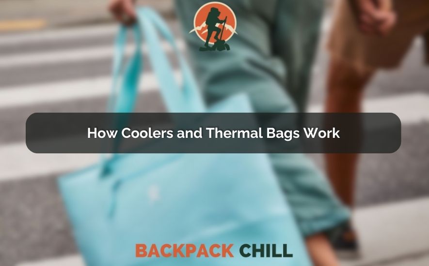 How Coolers and Thermal Bags Work