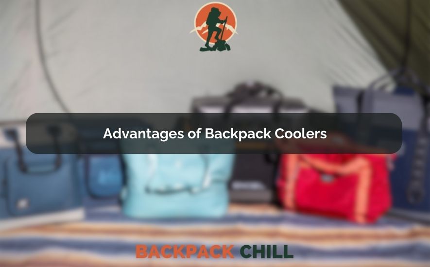 Advantages of Backpack Coolers