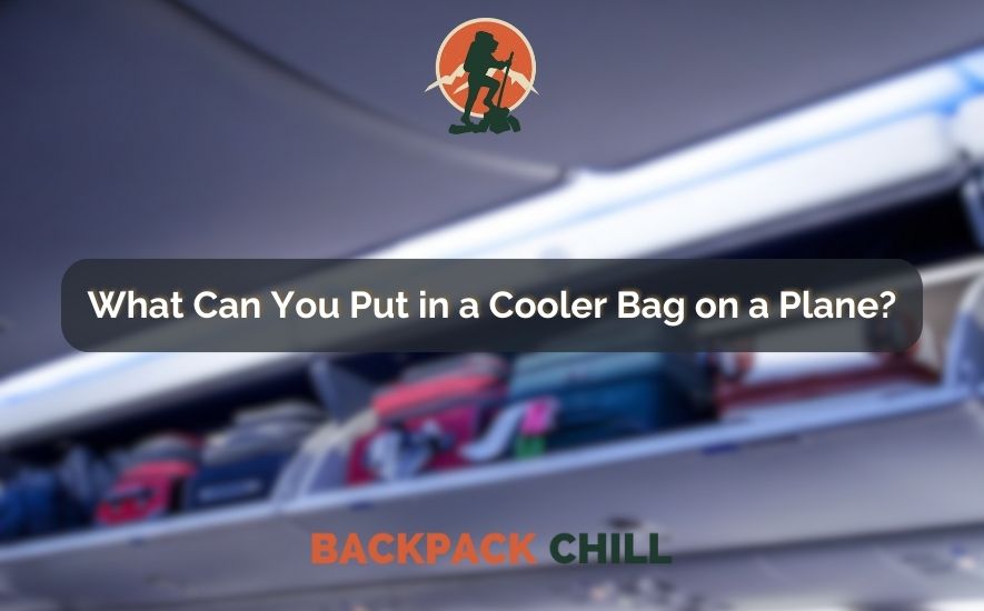 What Can You Put in a Cooler Bag on a Plane?