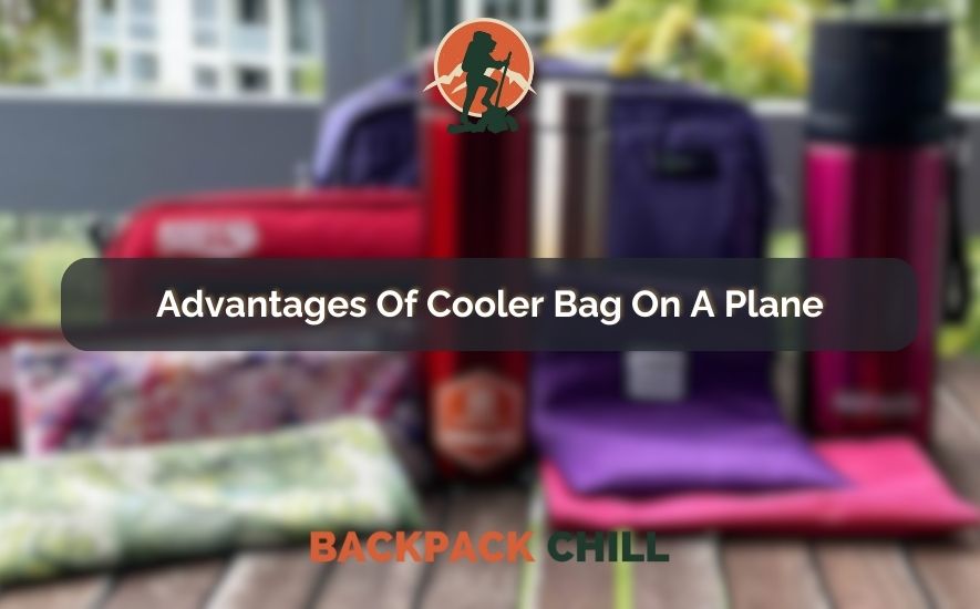 Advantages Of Cooler Bag On A Plane