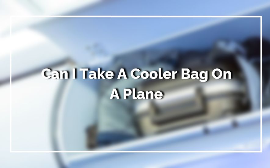 Can I Take A Cooler Bag On A Plane