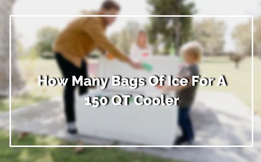 How Many Bags Of Ice For A 150 QT Cooler